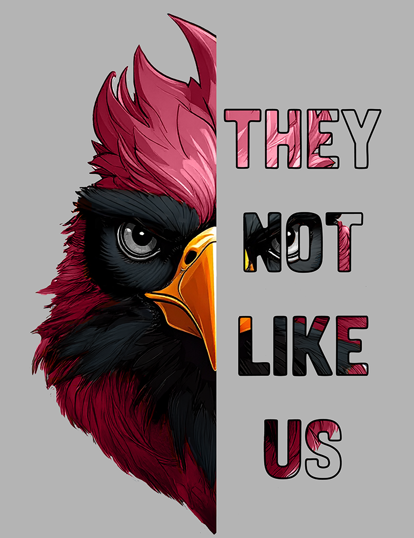 No les agradamos - Cardenales de Arizona