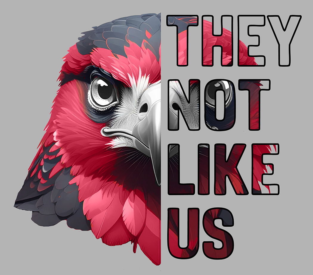 No les agradamos - Atlanta Falcons