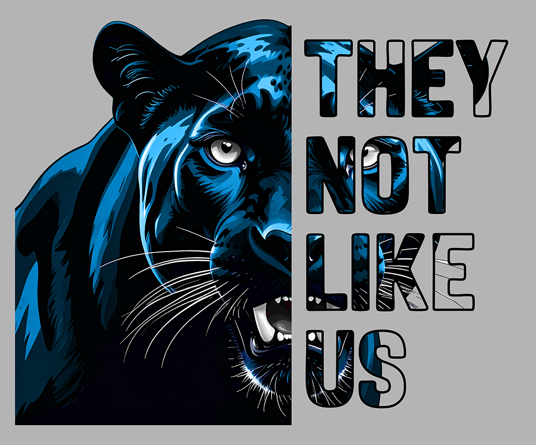 No les agradamos - Carolina Panthers