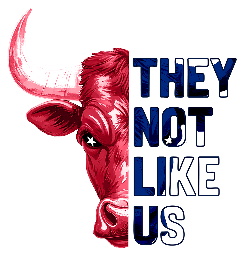 No les agradamos - Houston Texans