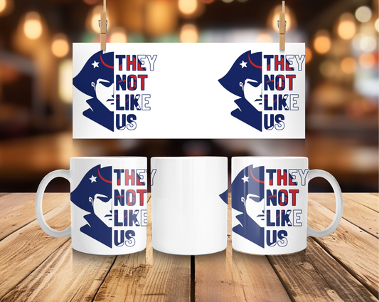They Not Like Us Mug - New England Patriots