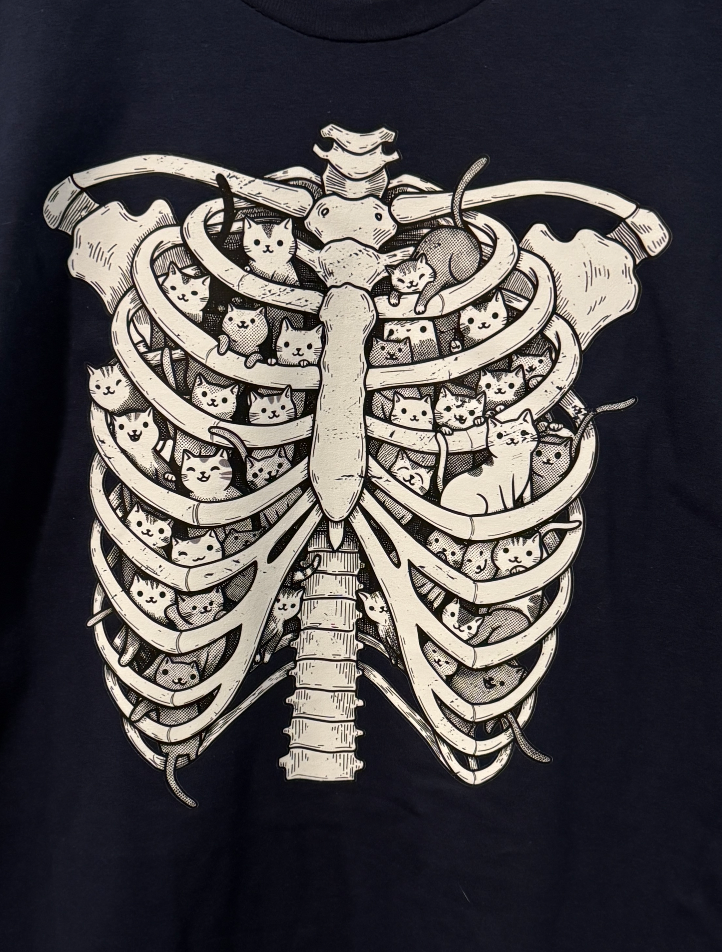 Chest-cat-ity