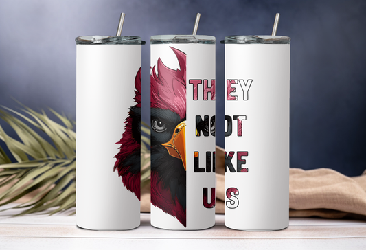 No les agradamos - Cardenales de Arizona
