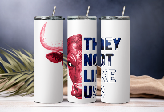 They Not Like Us Tumbler - Houston Texans