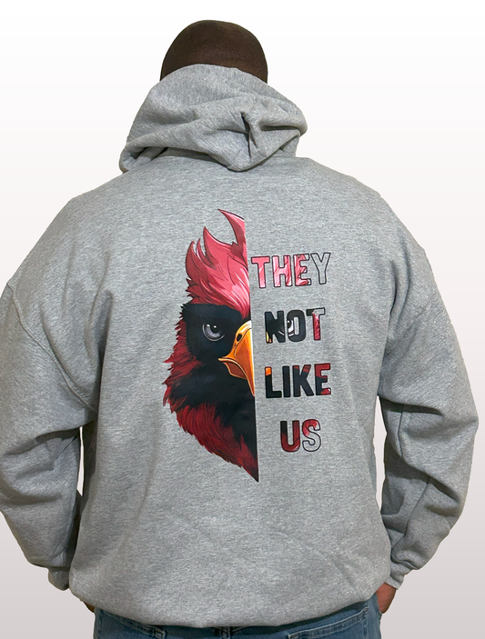 No les agradamos - Cardenales de Arizona
