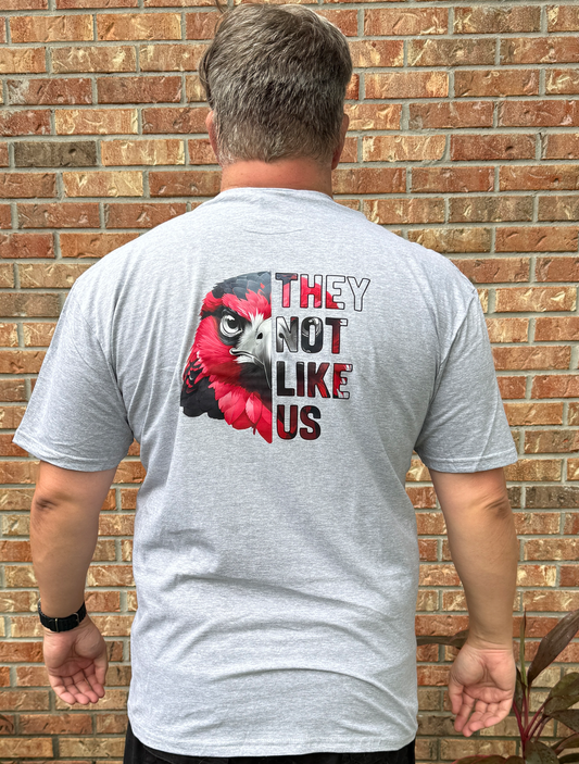 No les agradamos - Atlanta Falcons