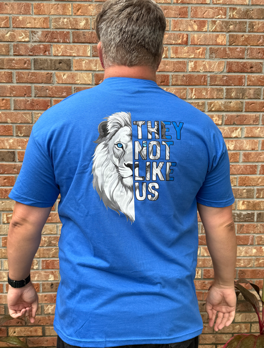 No les agradamos - Detroit Lions