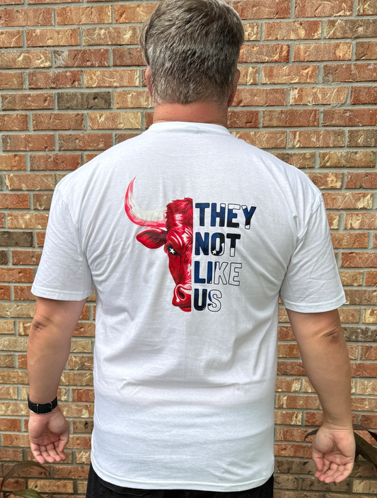 No les agradamos - Houston Texans