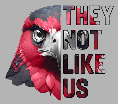 No les agradamos - Atlanta Falcons