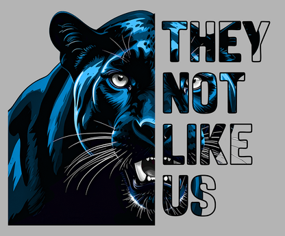 No les agradamos - Carolina Panthers