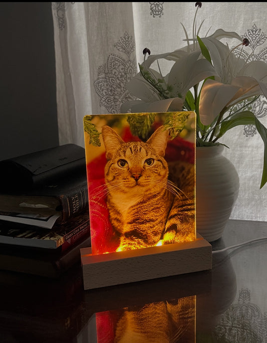 Custom Lighted Photo